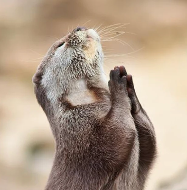 스크린샷 2024-02-28 오전 11.38.49.png