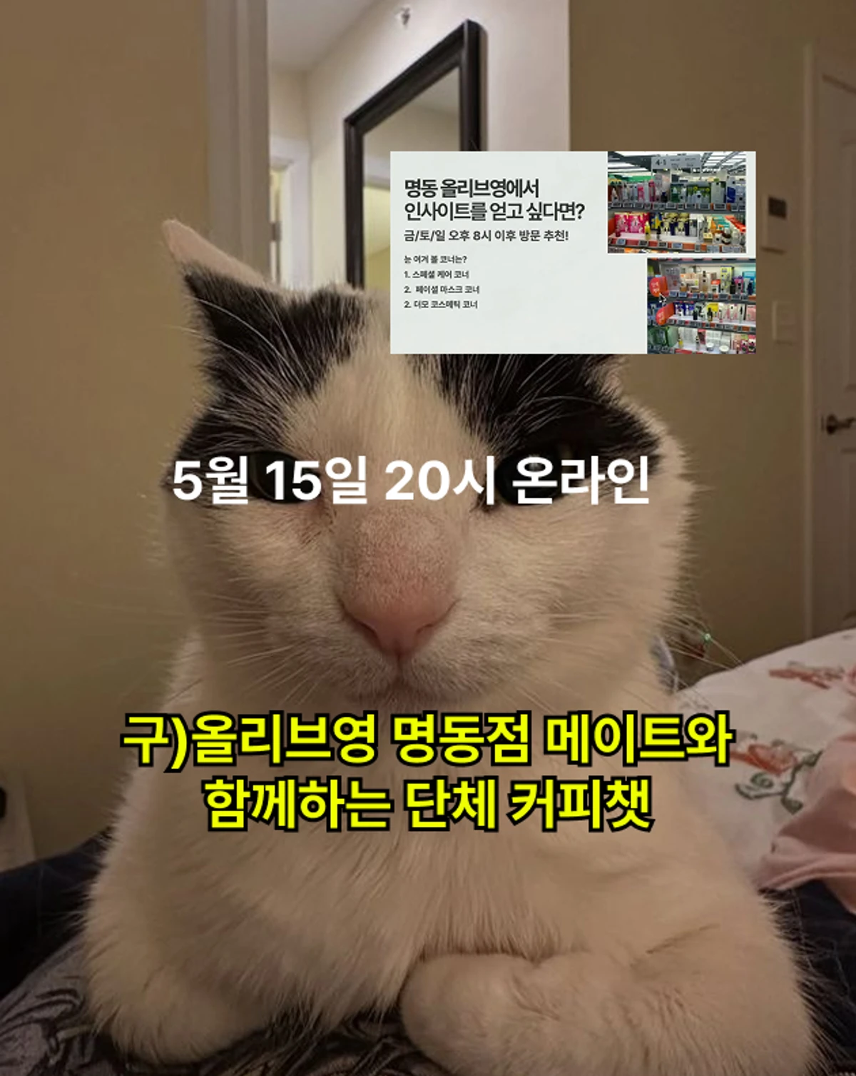 브랜드 디깅 클럽 스크린샷 5