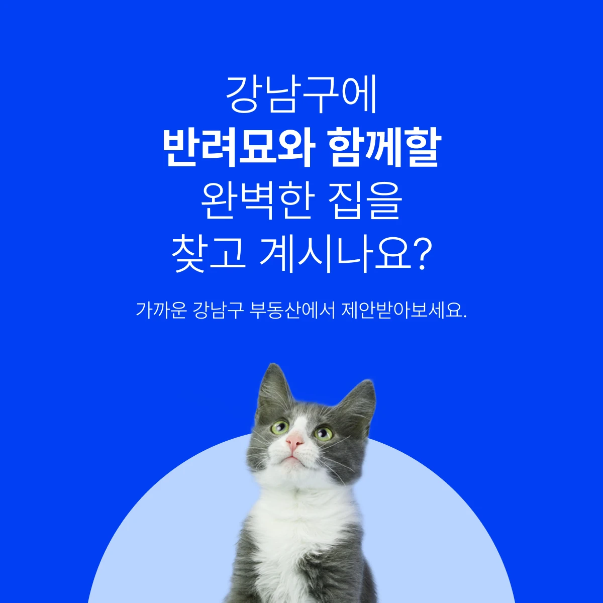 나중사 스크린샷 4