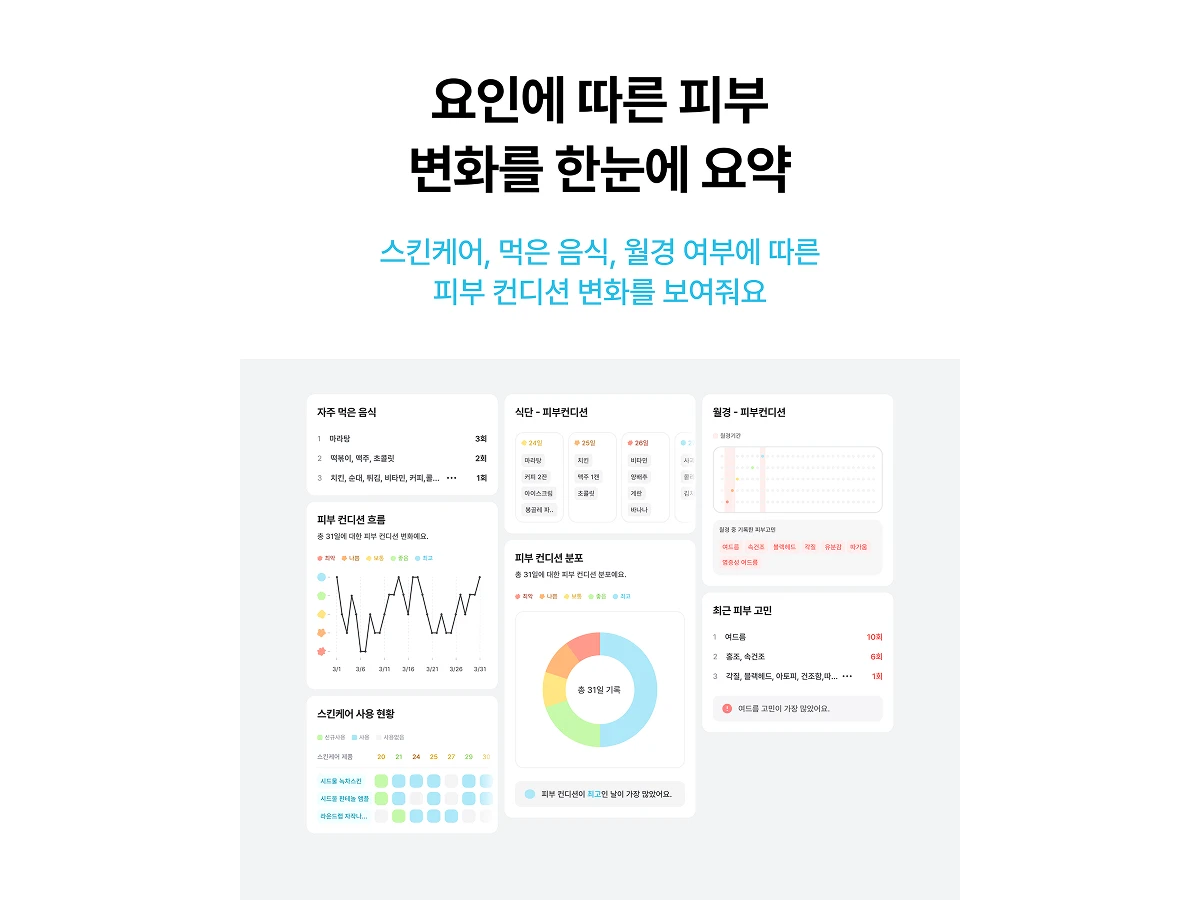 PIV 피브 스크린샷 5