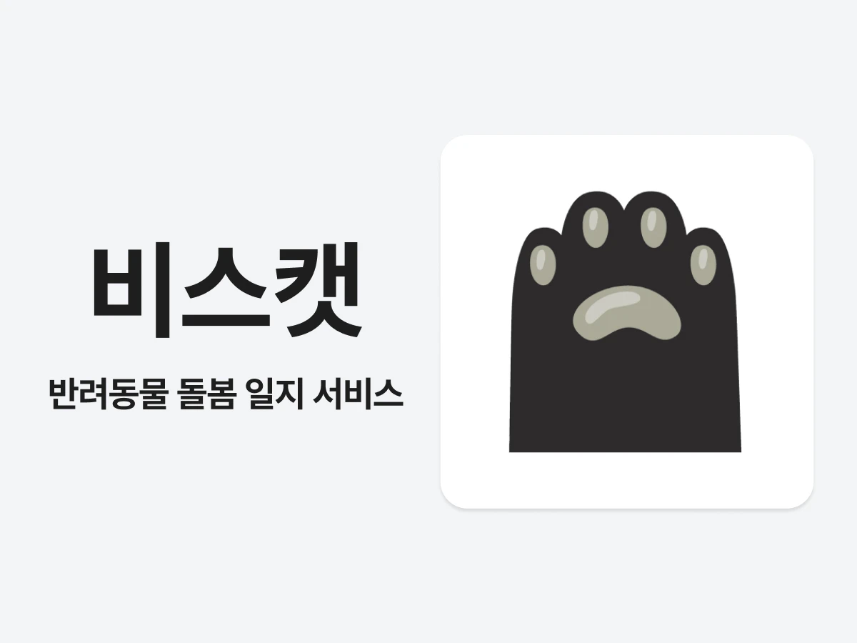 비스캣 스크린샷 1