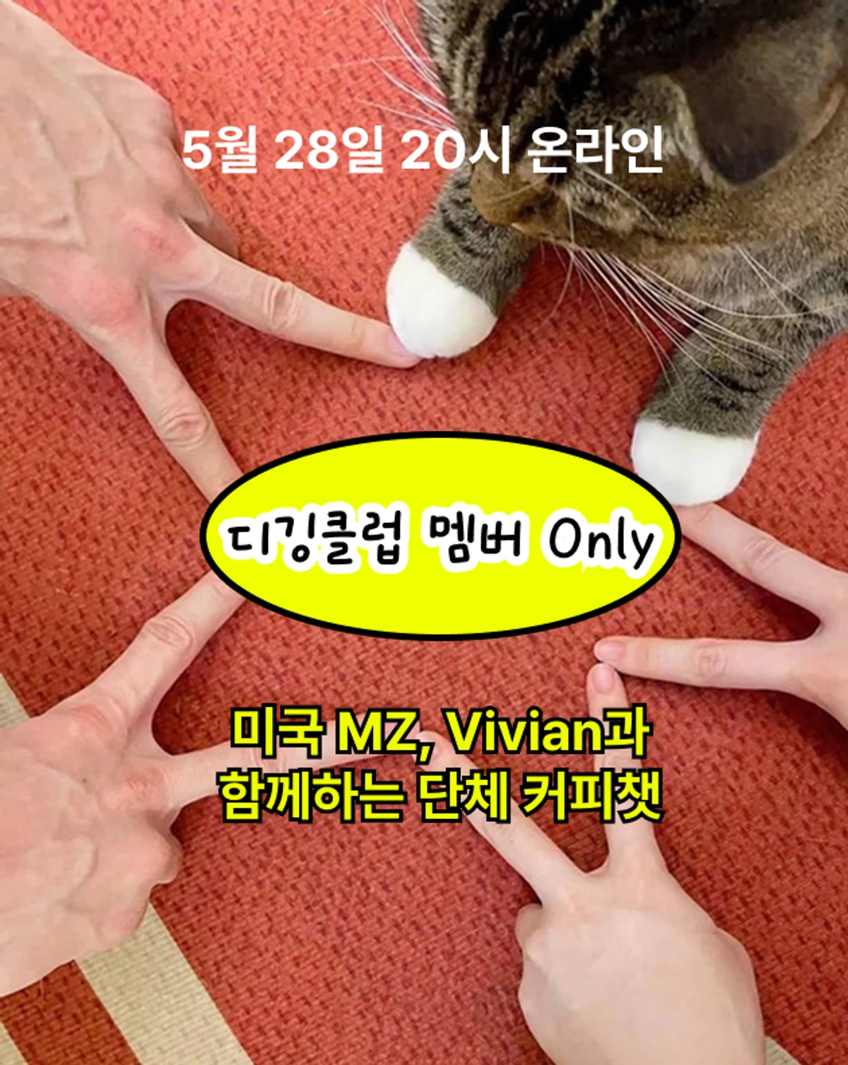 브랜드 디깅 클럽 스크린샷 2