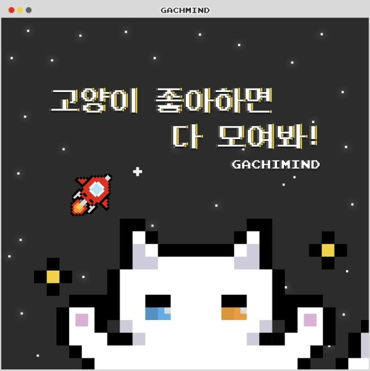 가치마인드 스크린샷 1