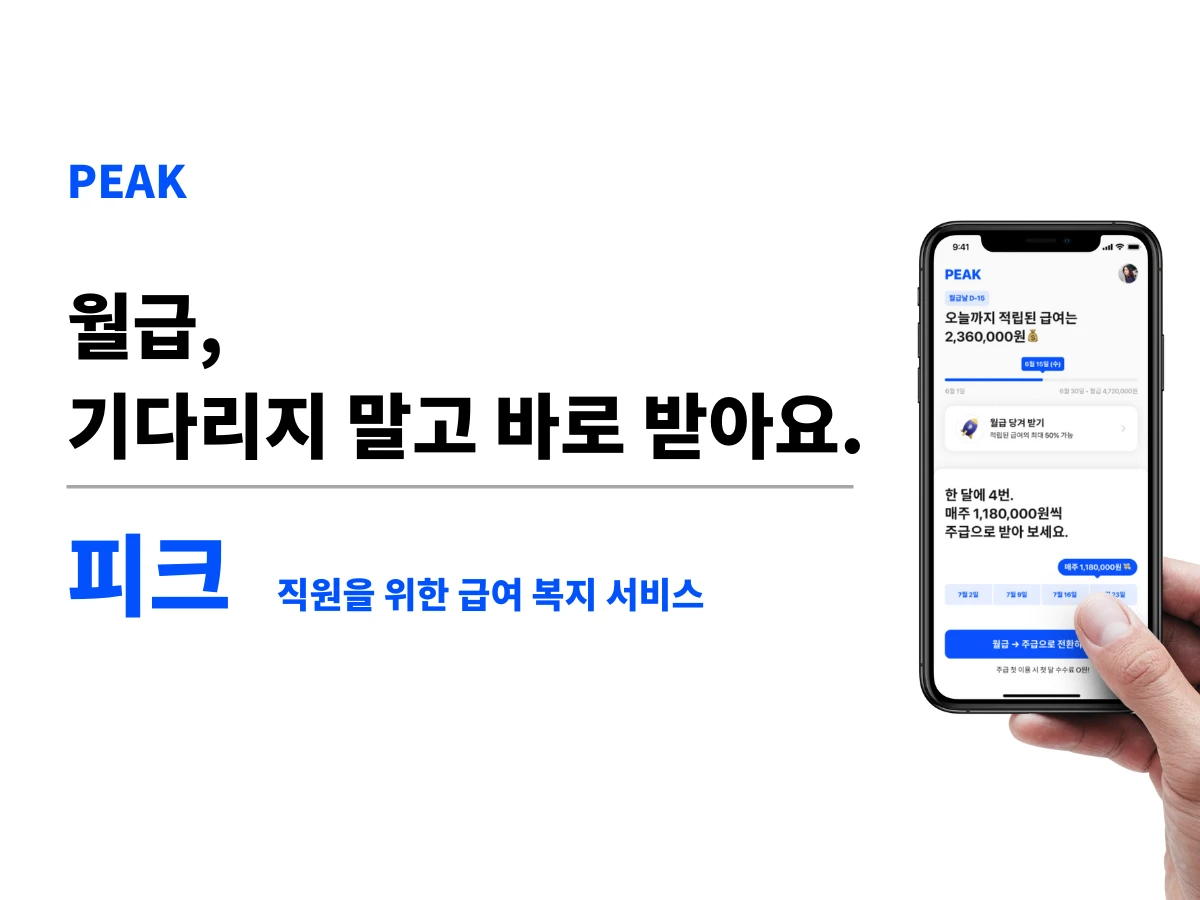 피크 스크린샷 1