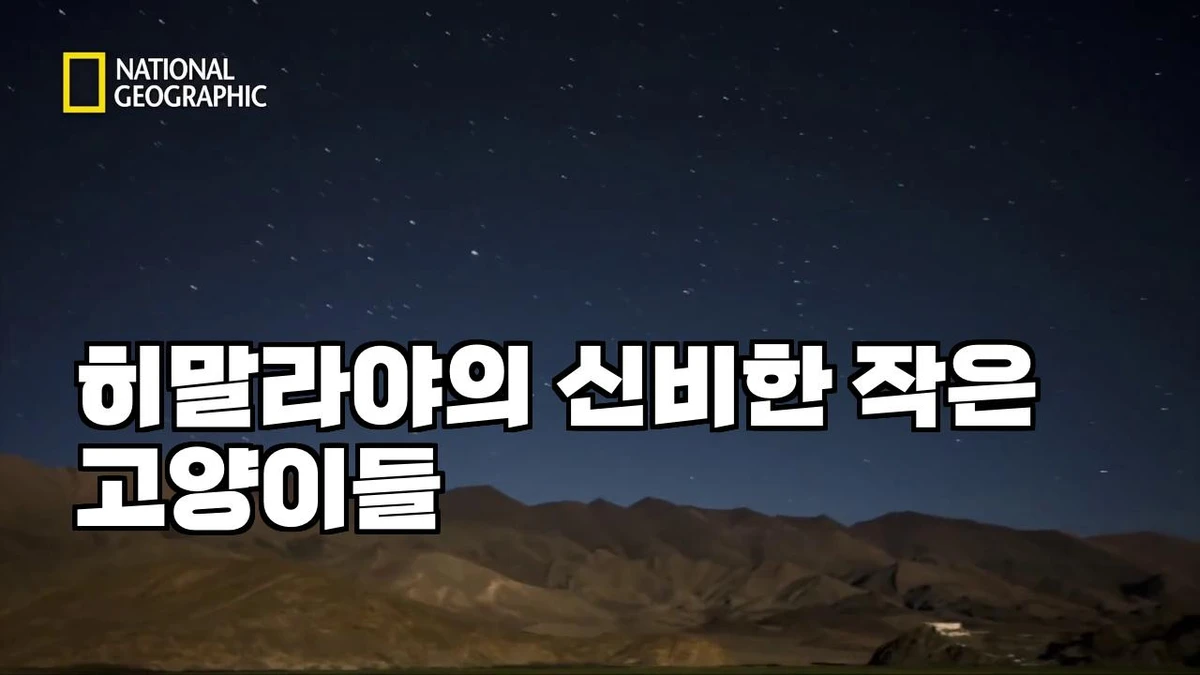 썸네일각 스크린샷 4