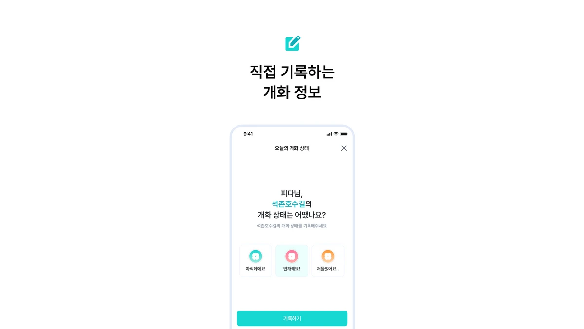 pida 피다 스크린샷 3