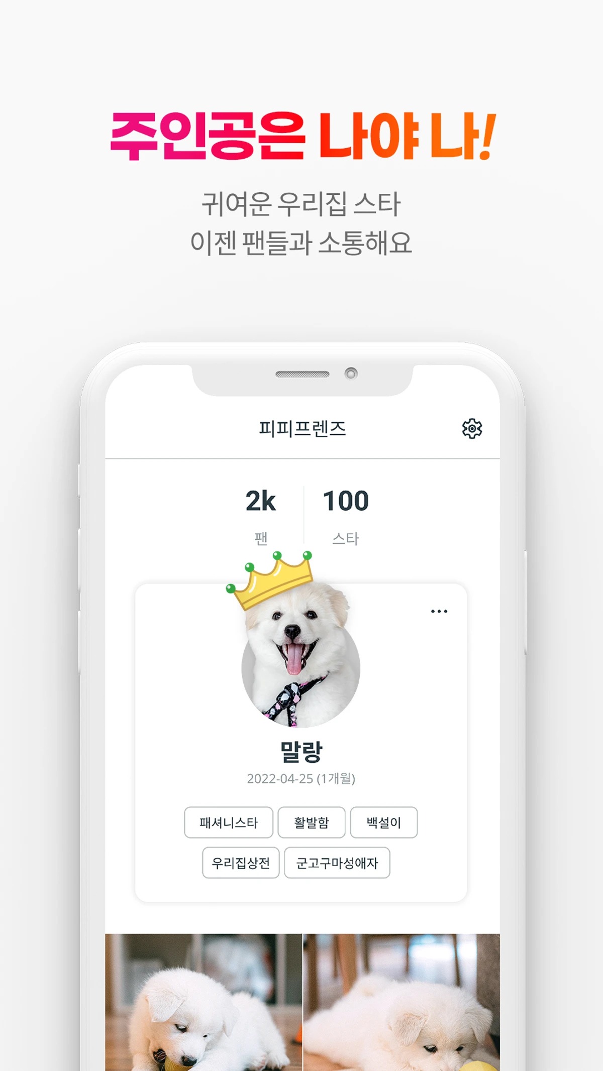 피피 스크린샷 4