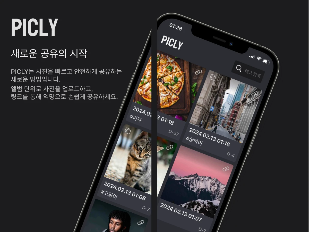 PICLY 스크린샷 1