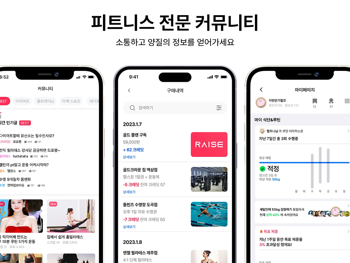 레이즈 스크린샷 4
