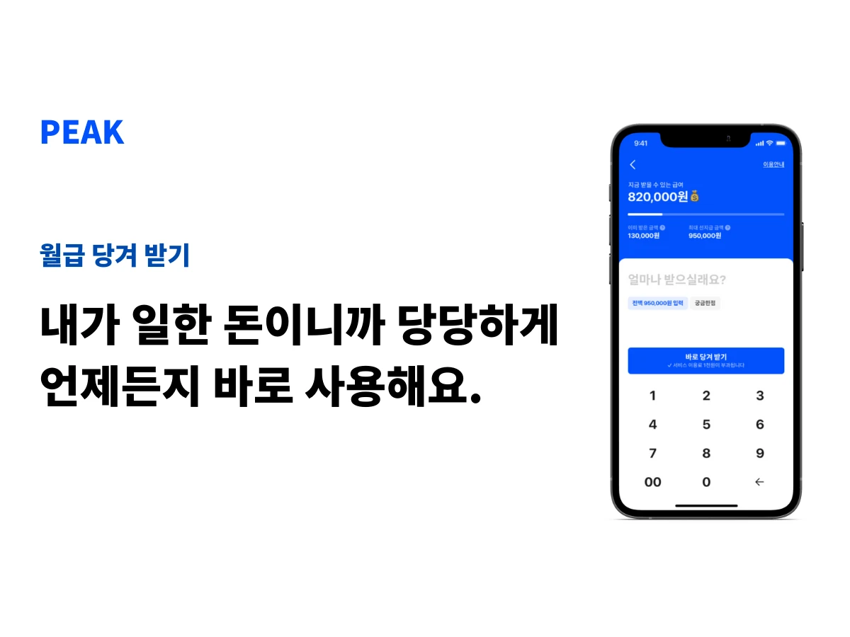 피크 스크린샷 2