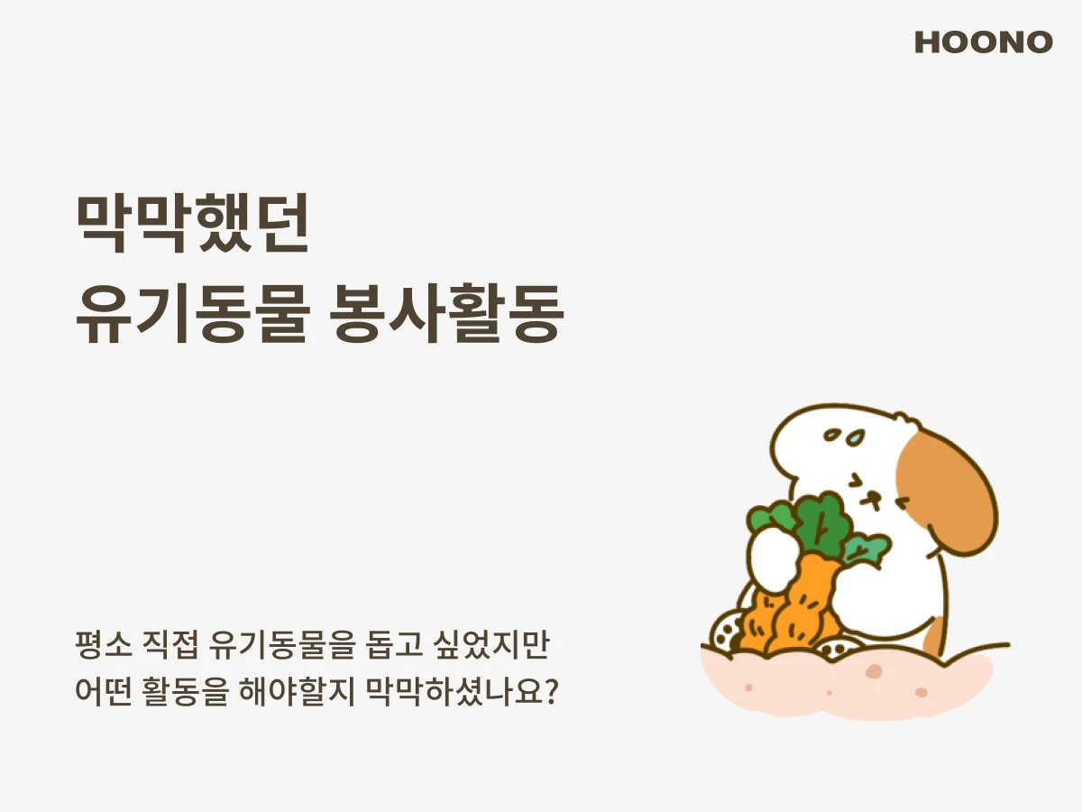 후노 스크린샷 2