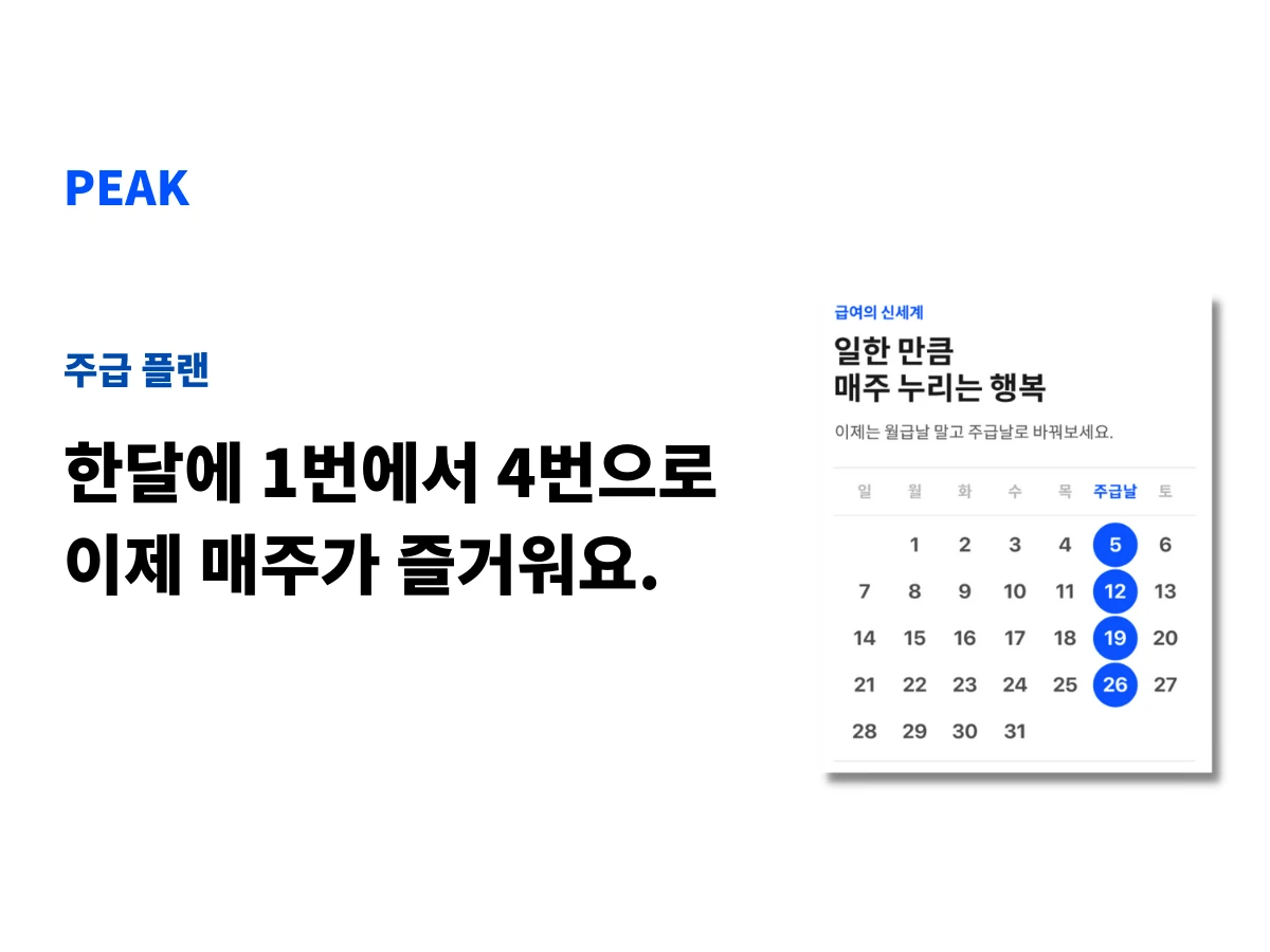 피크 스크린샷 3