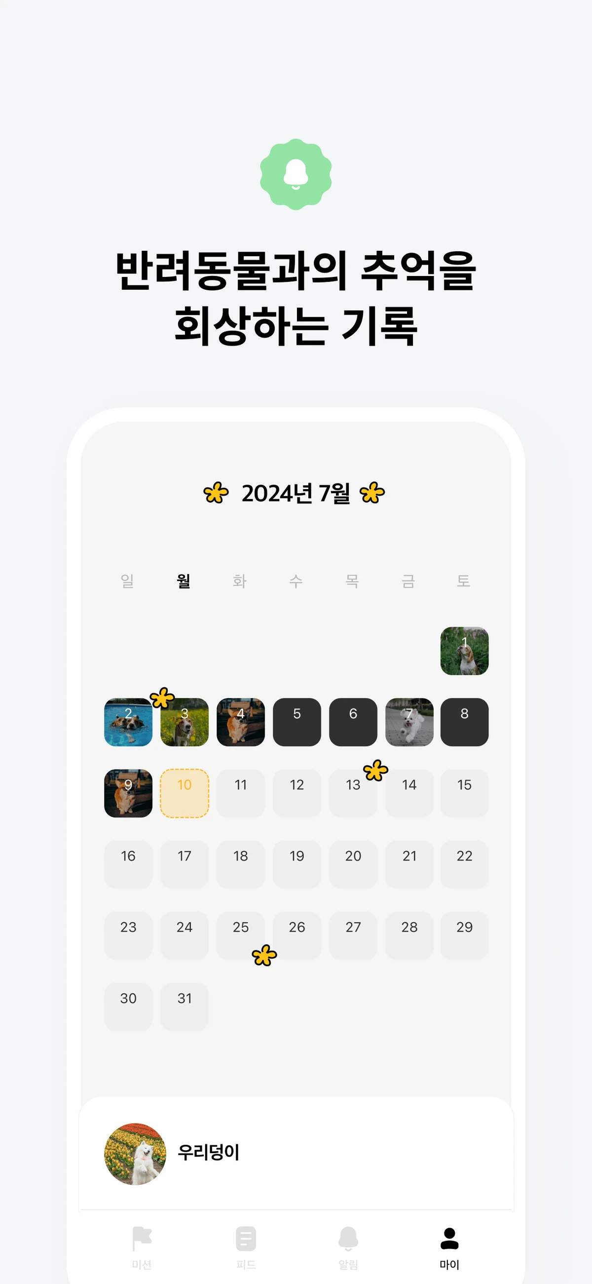 왈왈 스크린샷 4