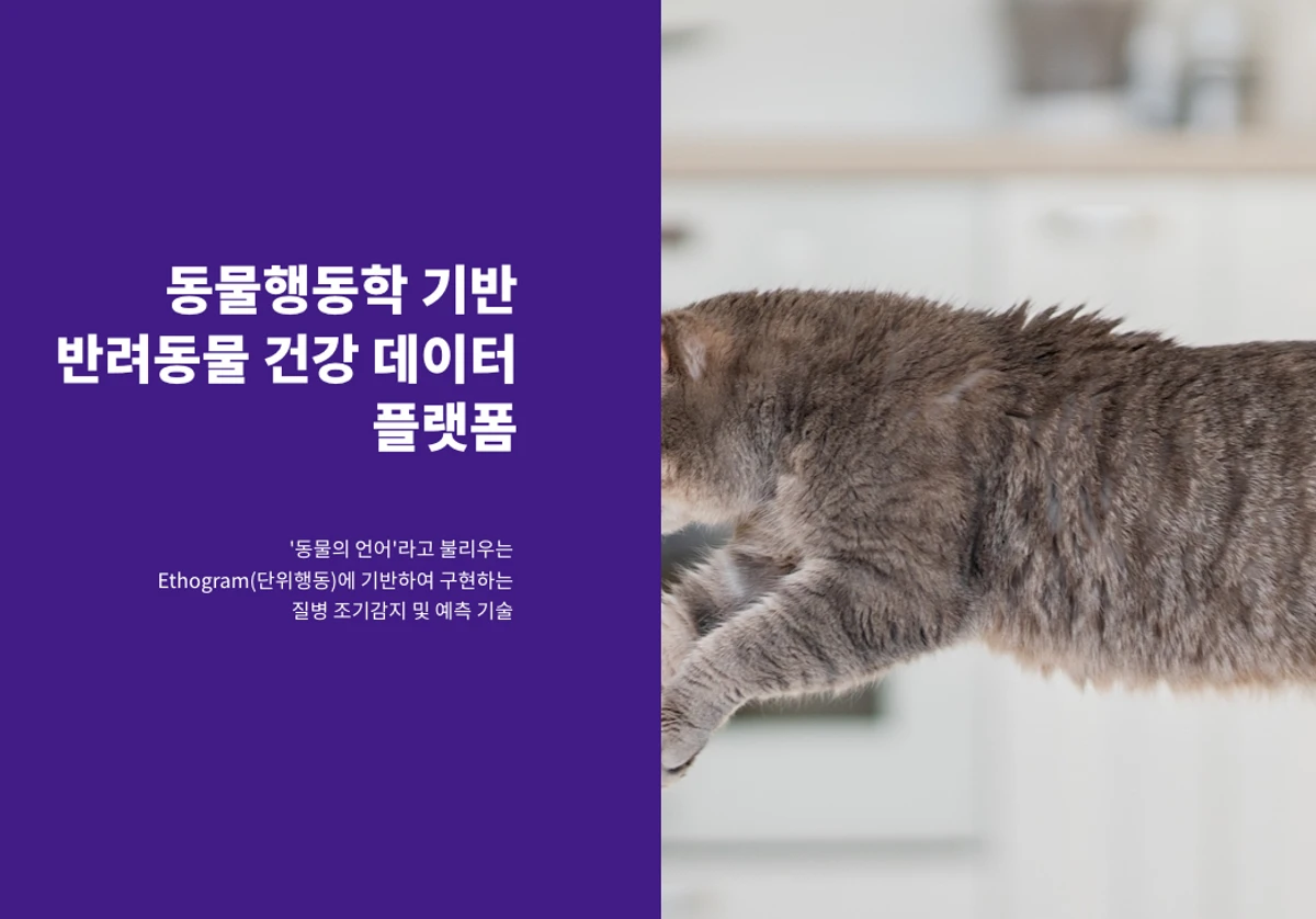 catmos 스크린샷 1