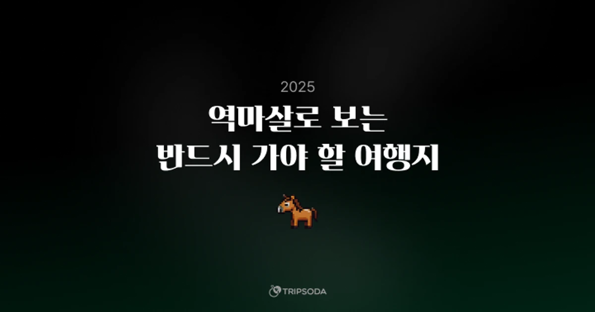 역마살 테스트 2025 스크린샷 1