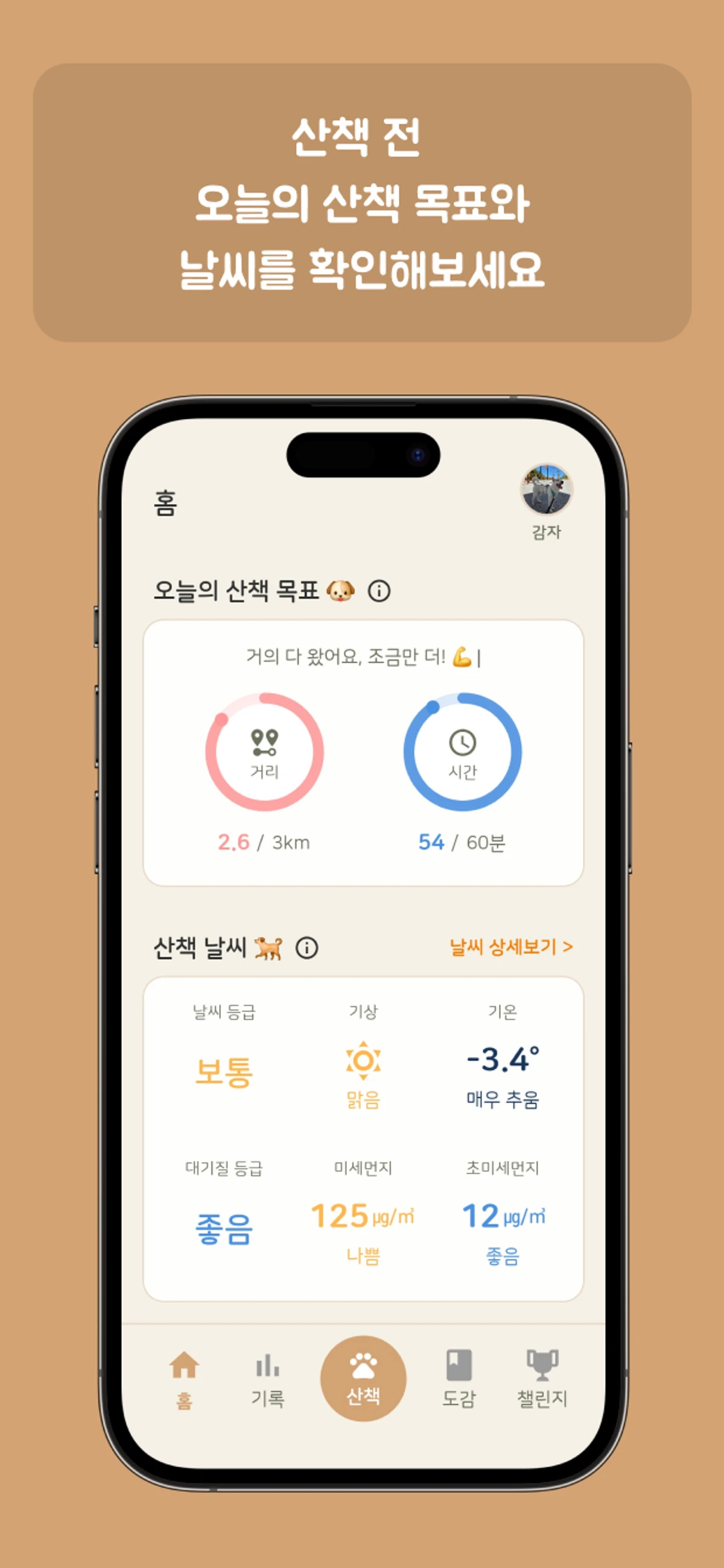 댕댕워크 스크린샷 1