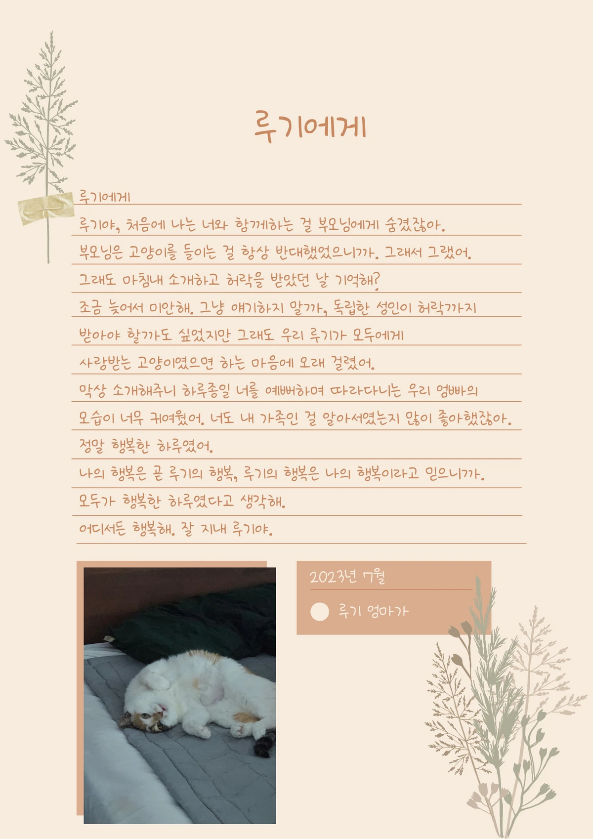 마인드펫로스 스크린샷 4