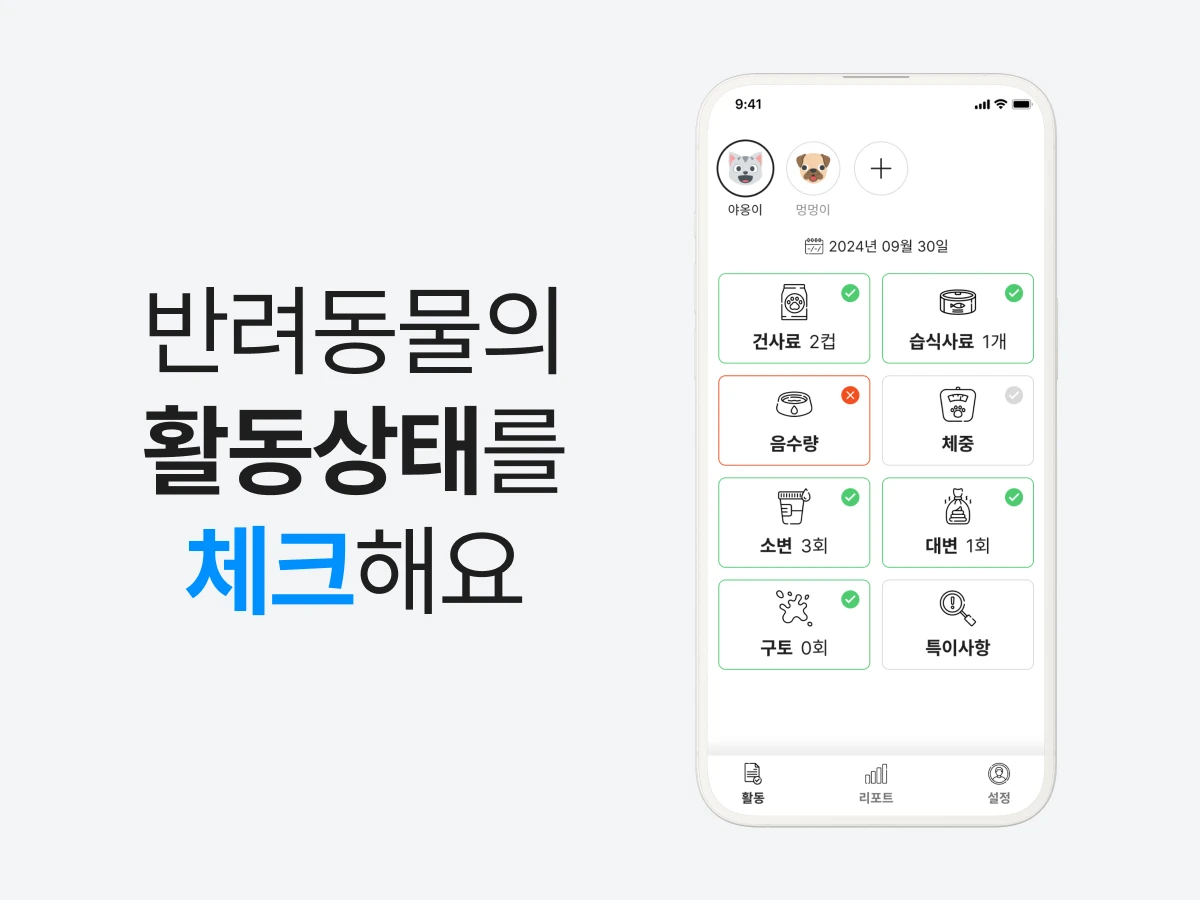 비스캣 스크린샷 2