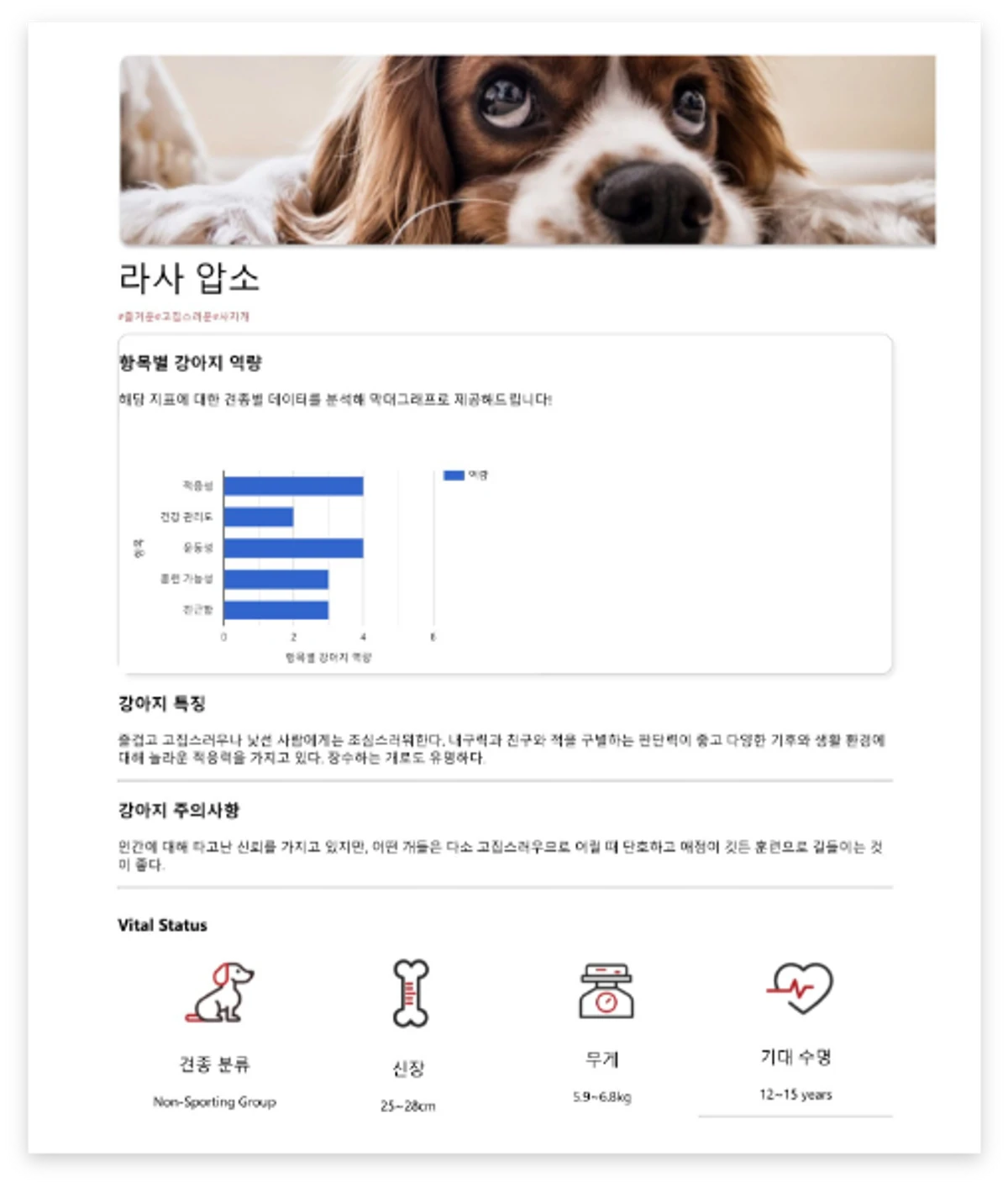 나누구개 스크린샷 3