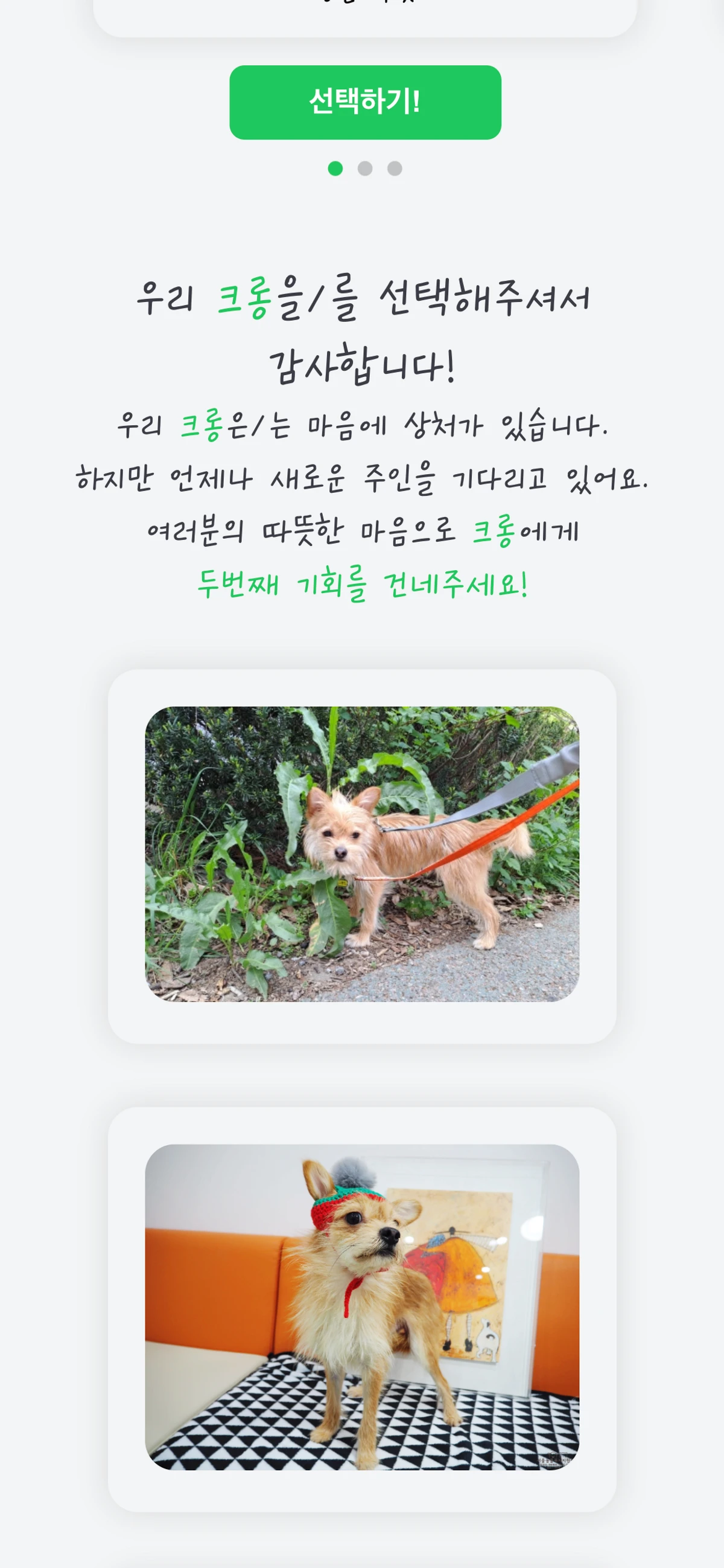 Second Chance 스크린샷 2
