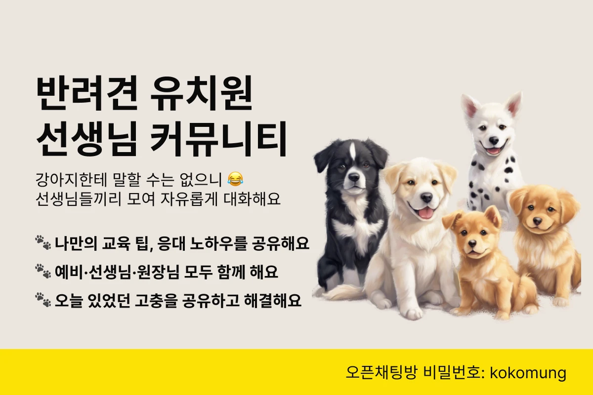 반려견 유치원 선생님 커뮤니티 with 코코멍 스크린샷 1