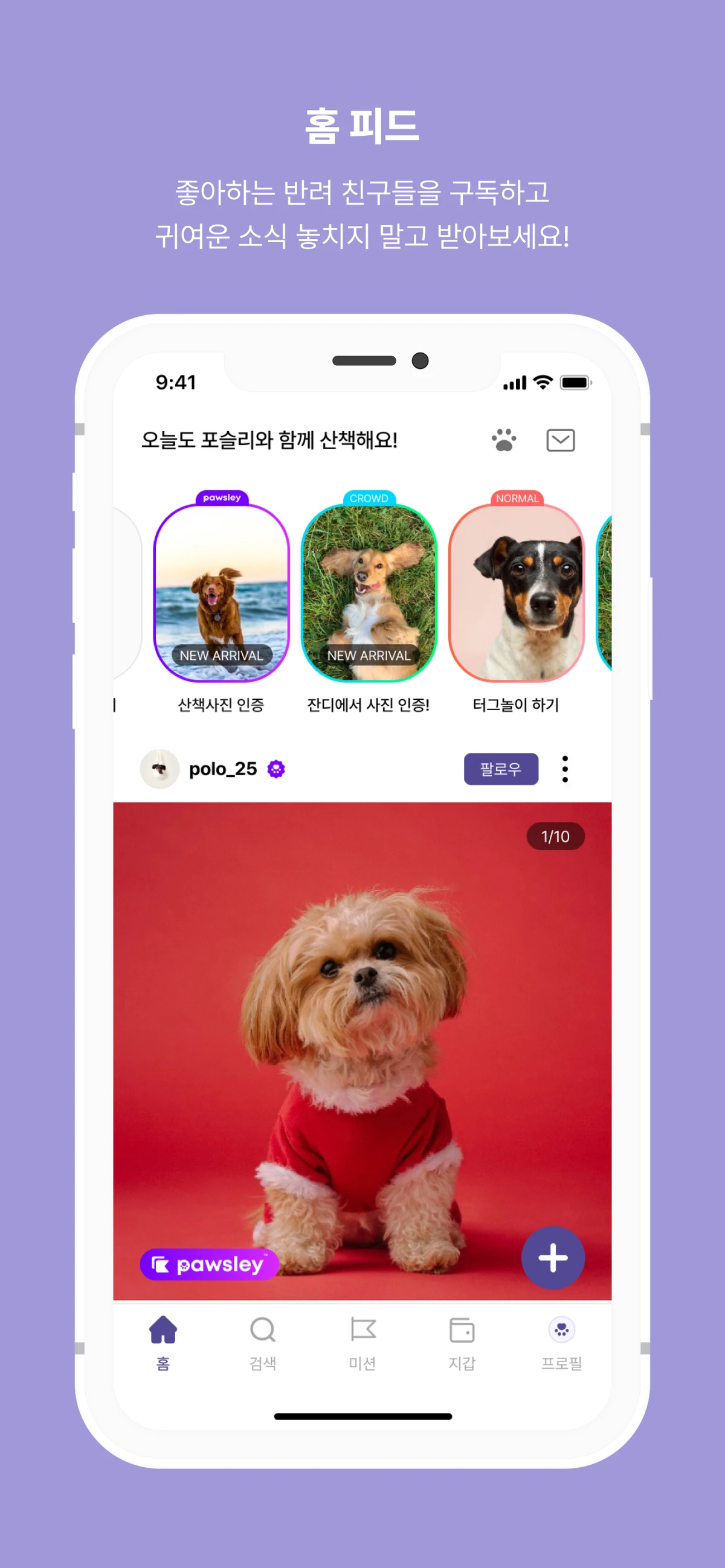 포슬리 Pawsley 스크린샷 3
