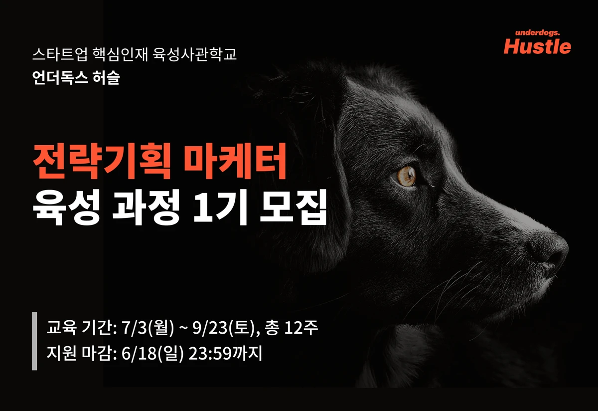 언더독스 허슬 스크린샷 1
