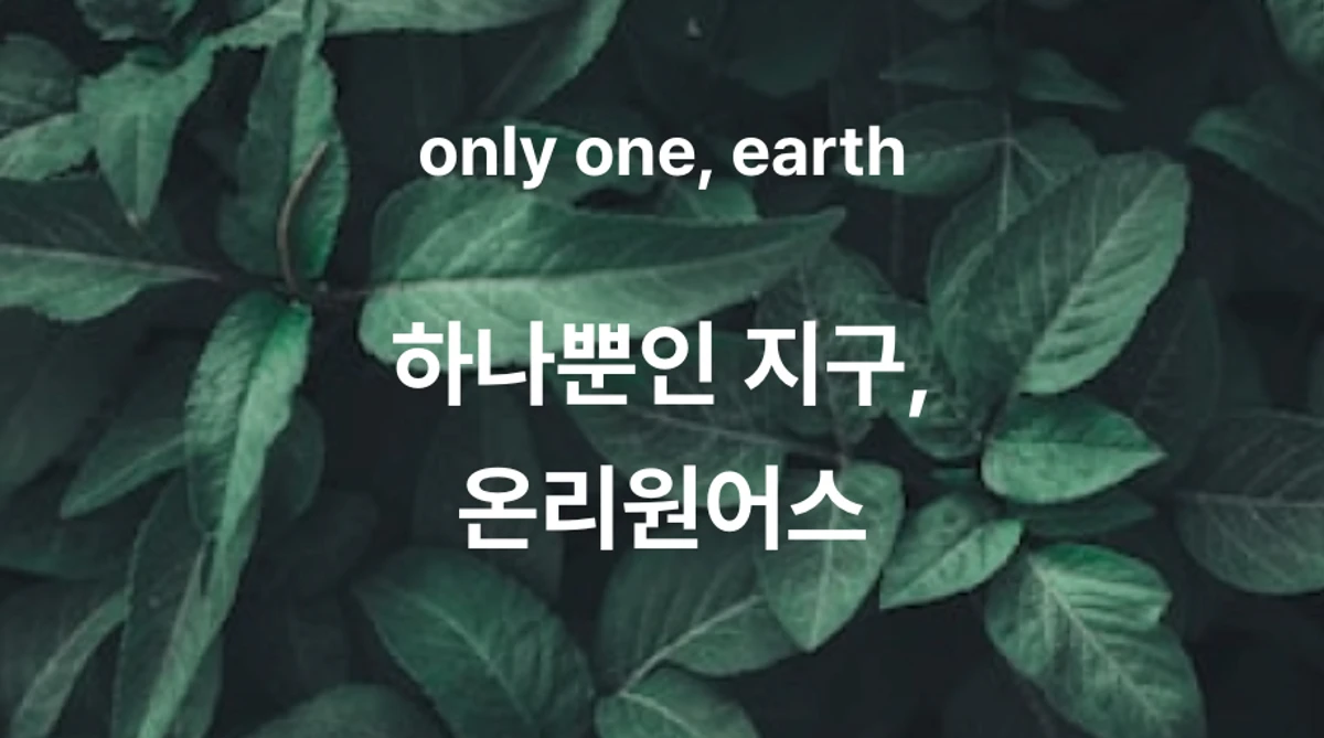 온리원어스 스크린샷 1
