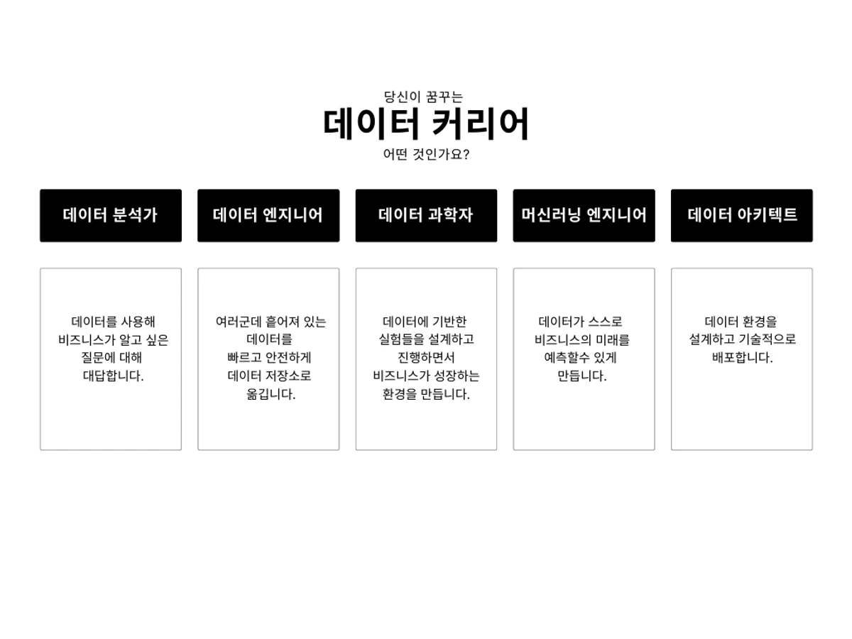 datarichard 스크린샷 4