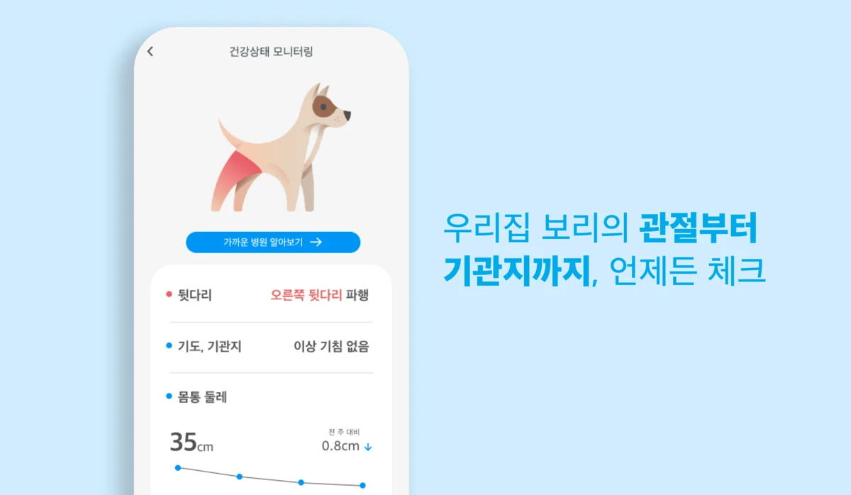 딩굴 스크린샷 3