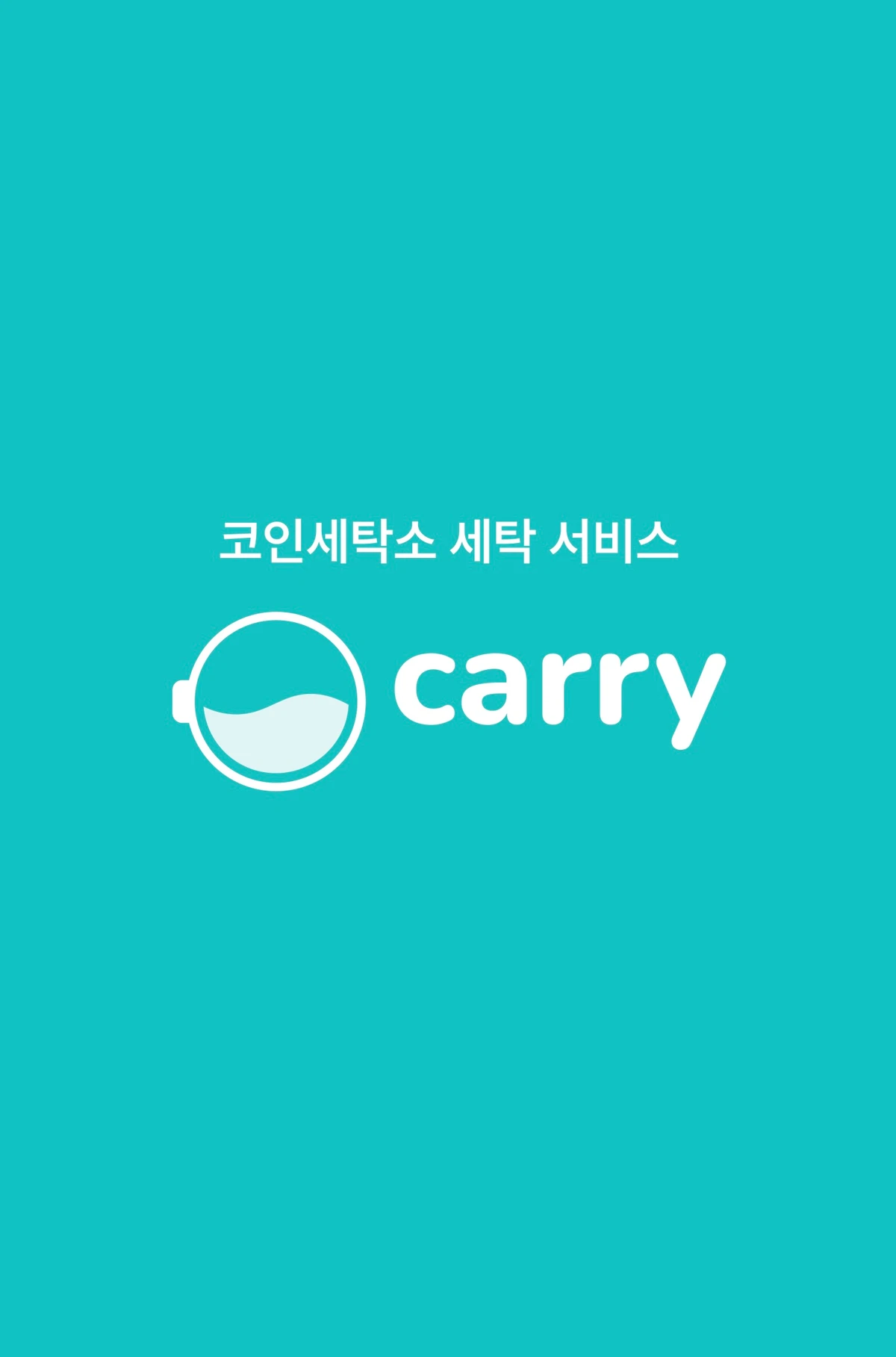 캐리 스크린샷 1