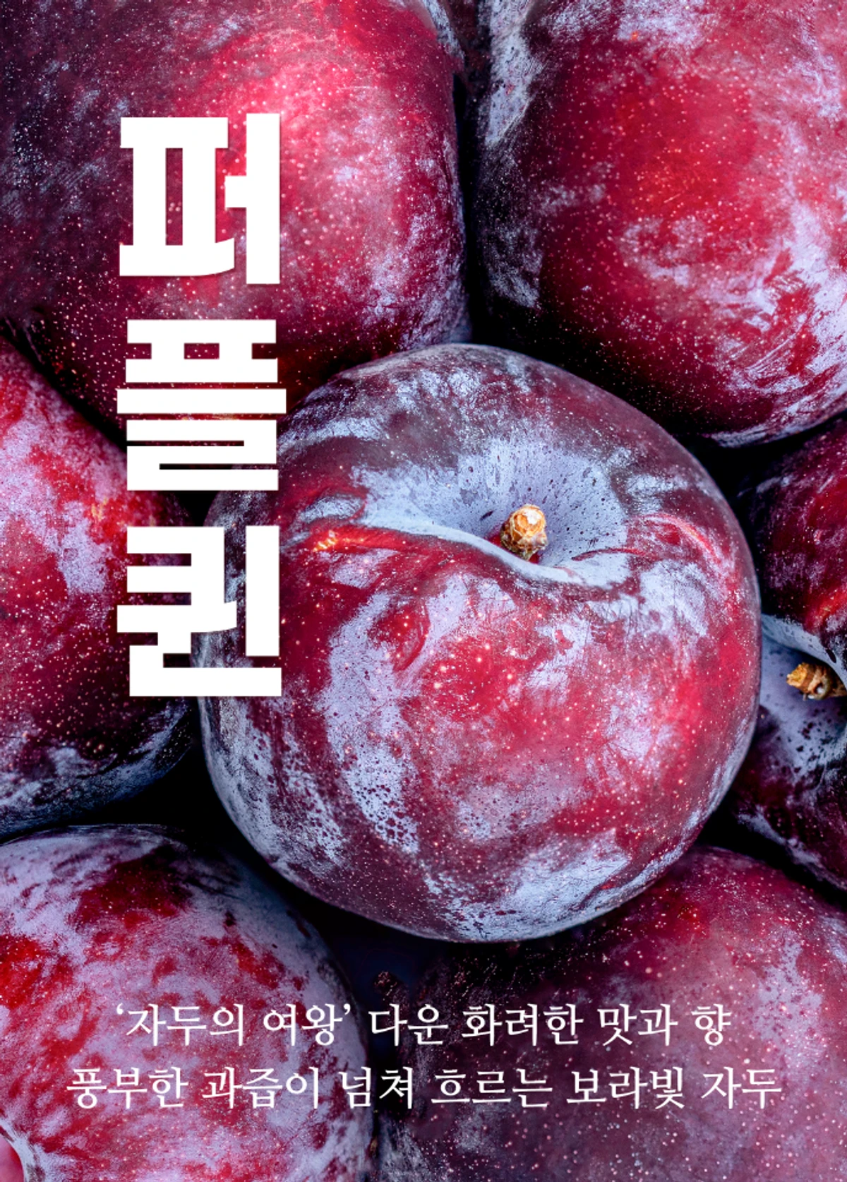 싱글 스크린샷 1