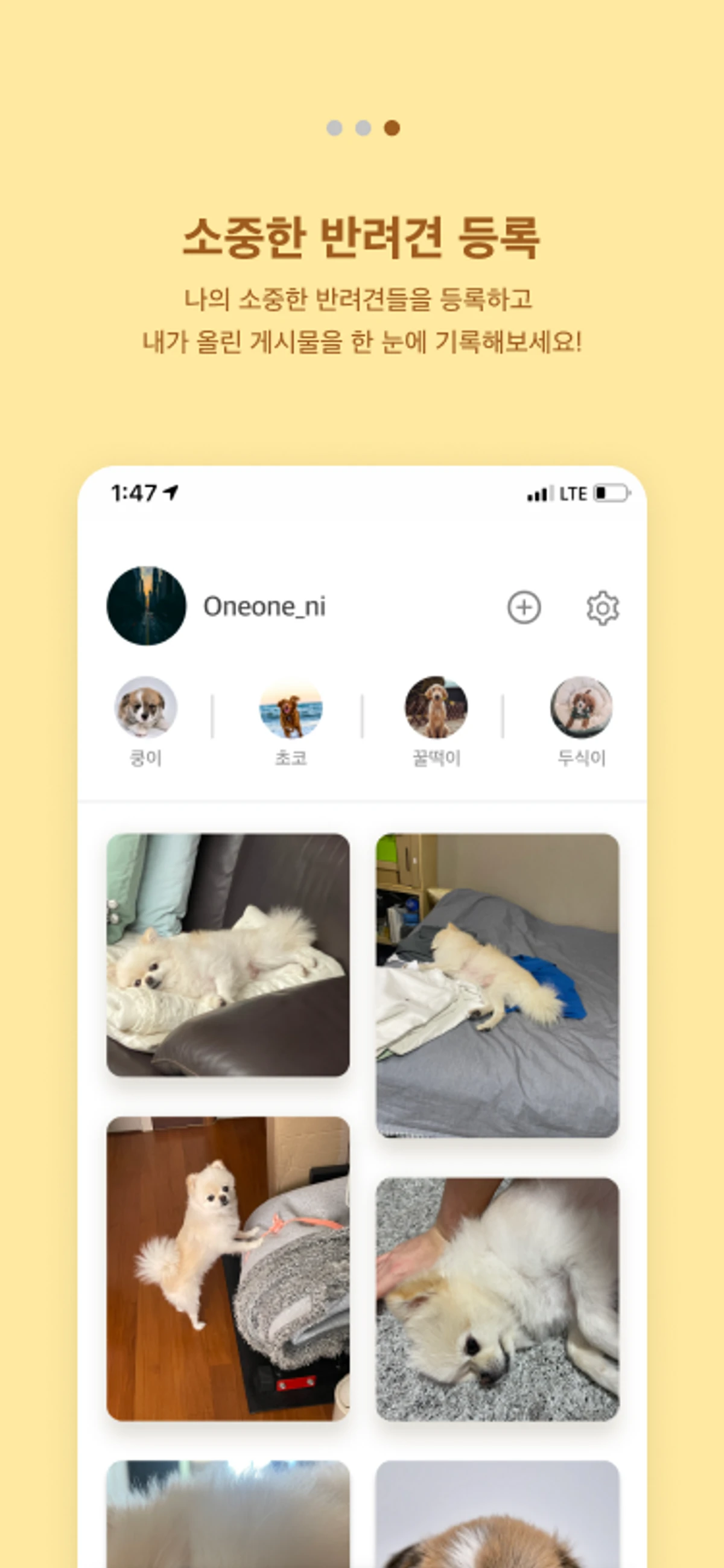 핀더가든 스크린샷 4