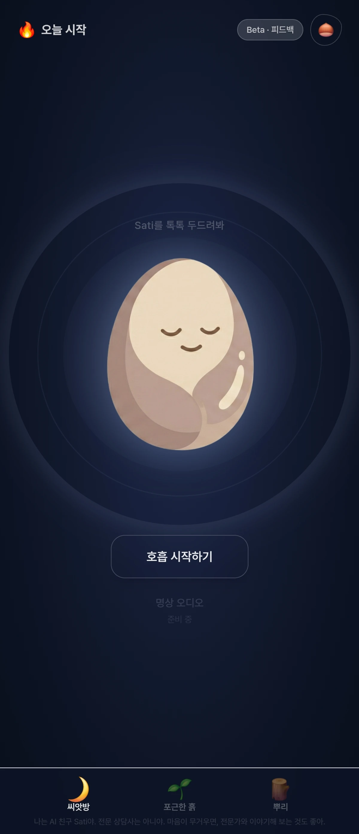 Satira 사티라 스크린샷 3