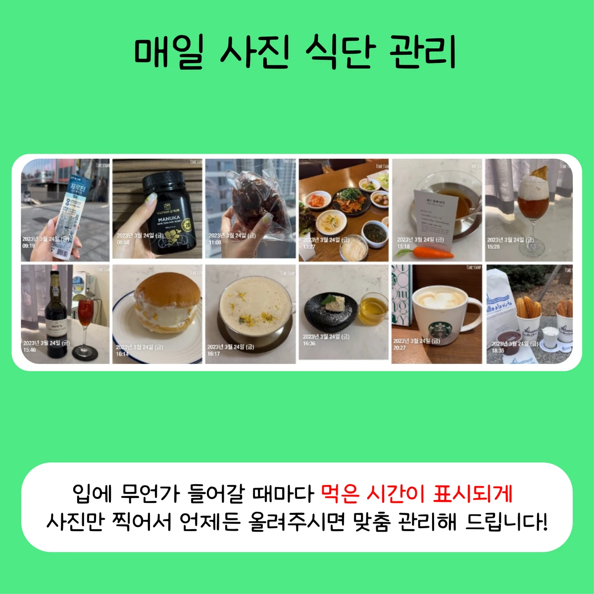 armadillo 스크린샷 3