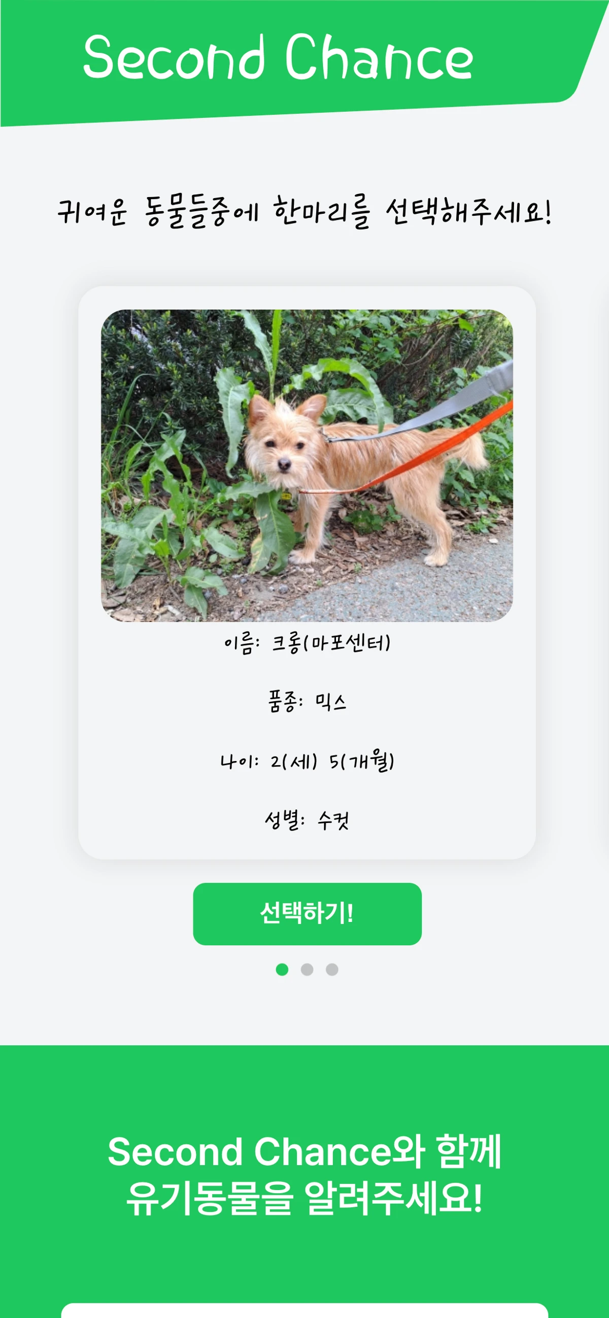 Second Chance 스크린샷 1