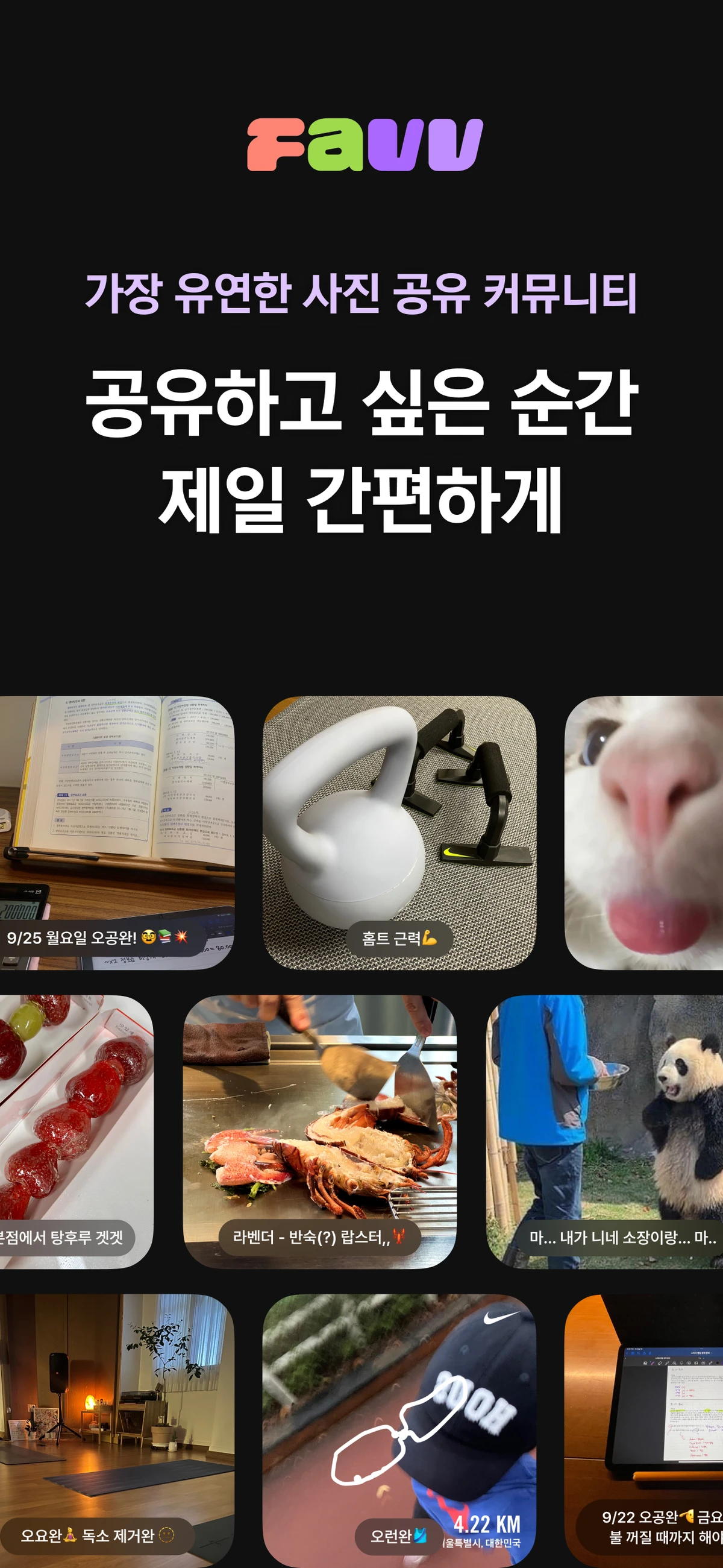 Favv 스크린샷 1