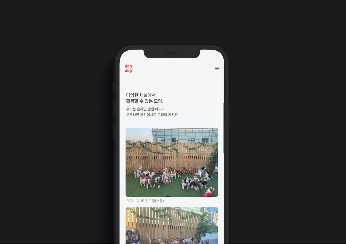 똑똑.dogdog 스크린샷 2