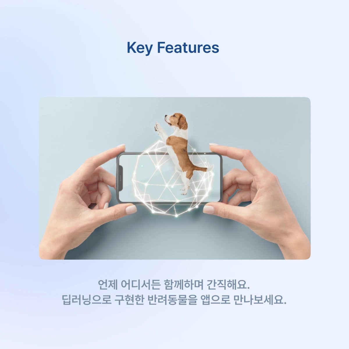 원앤온리 스크린샷 2