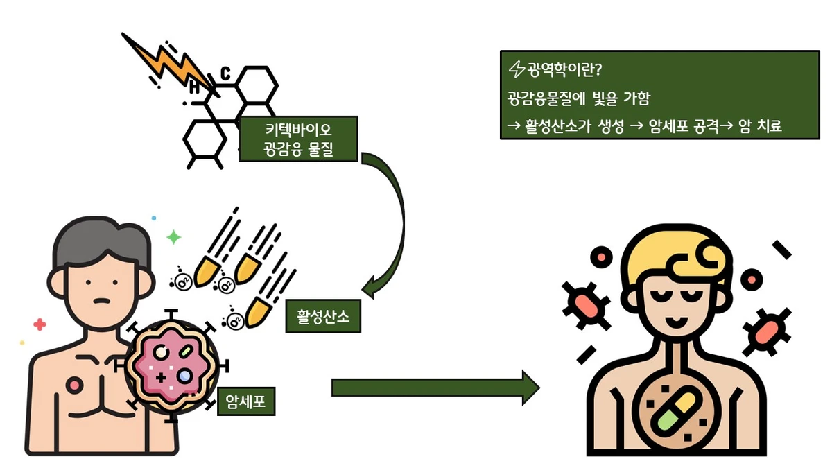 이화여자대학교 광역학 치료 및 소재 스크린샷 3