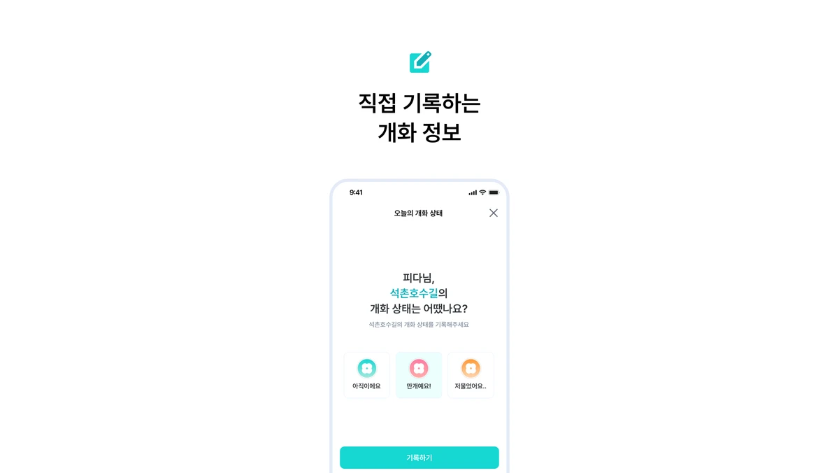 피다 스크린샷 3