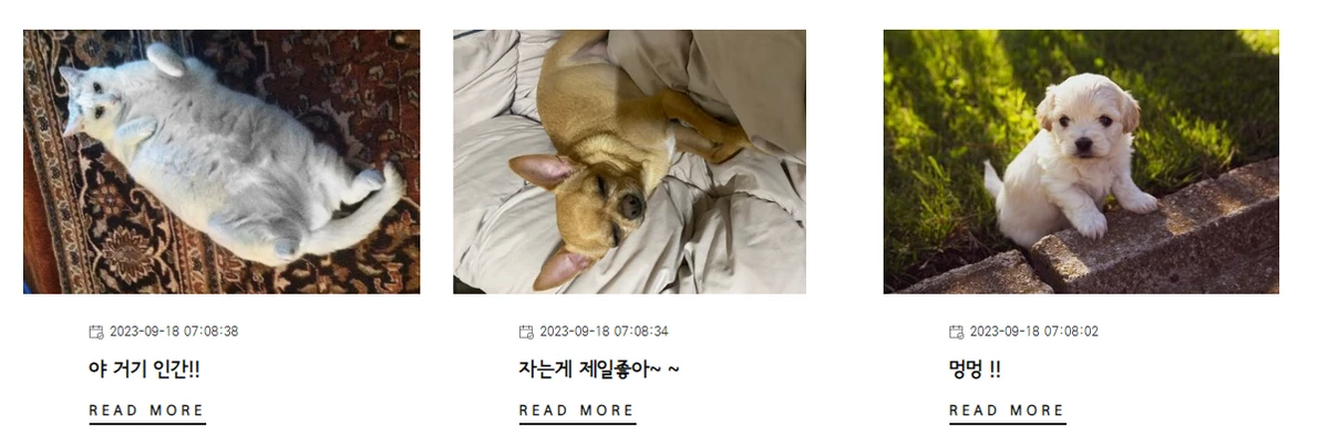 멍냥북 스크린샷 3