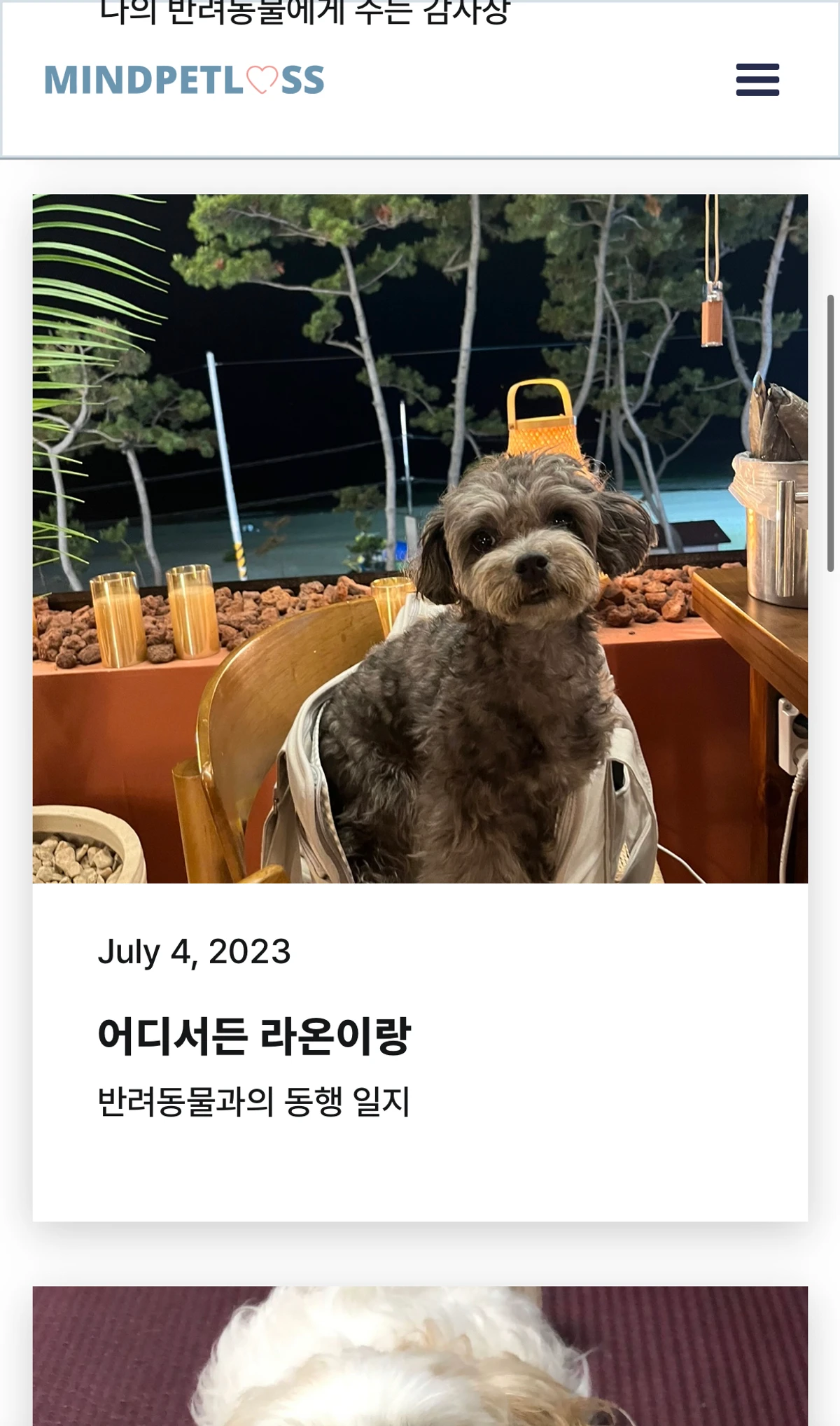 마인드펫로스 스크린샷 3