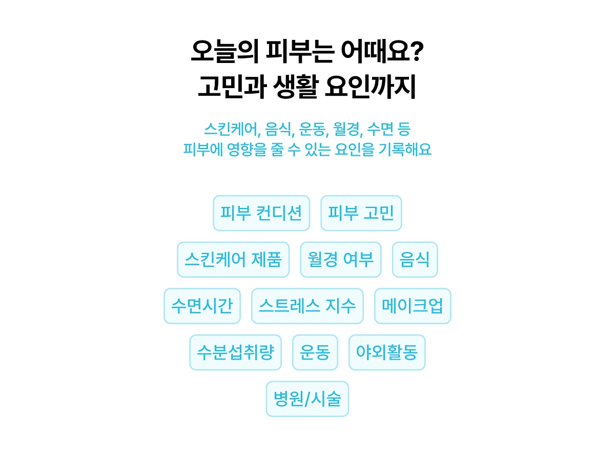 PIV 피브 스크린샷 4