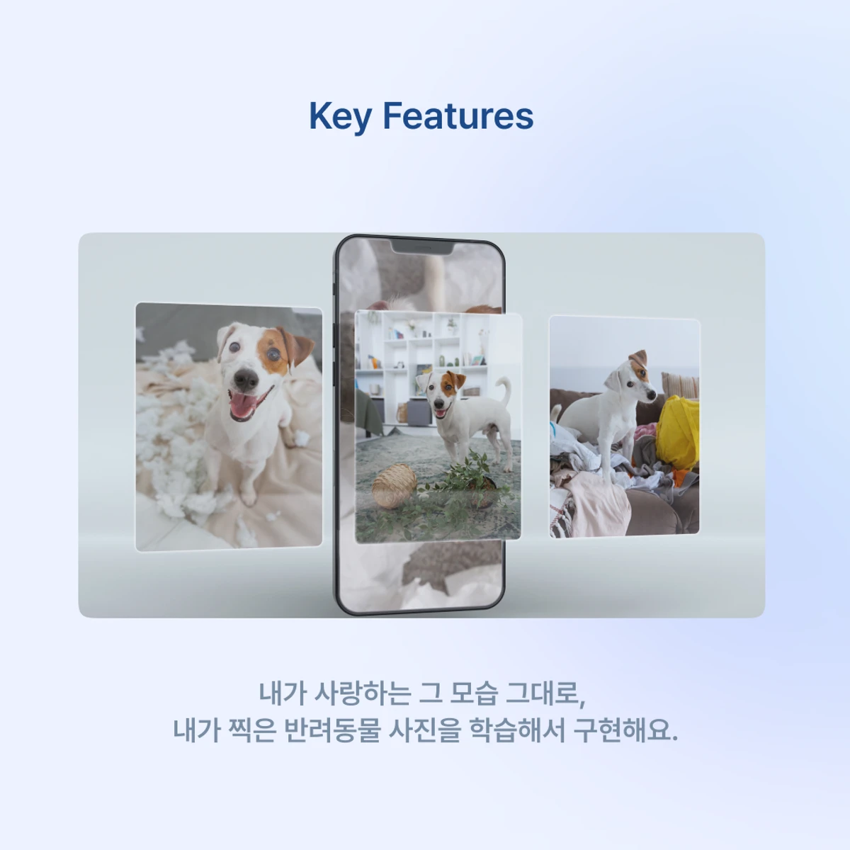 원앤온리 스크린샷 1