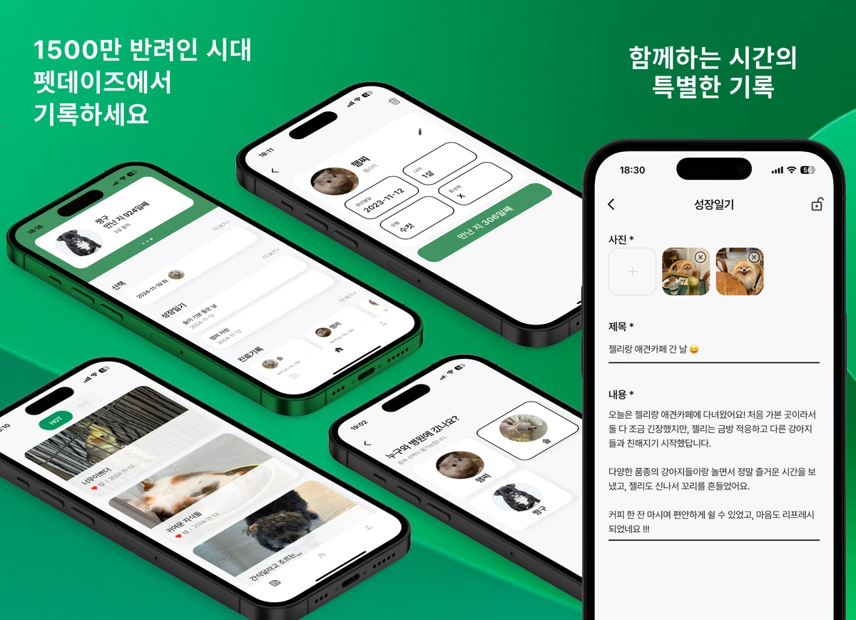 펫데이즈 스크린샷 1