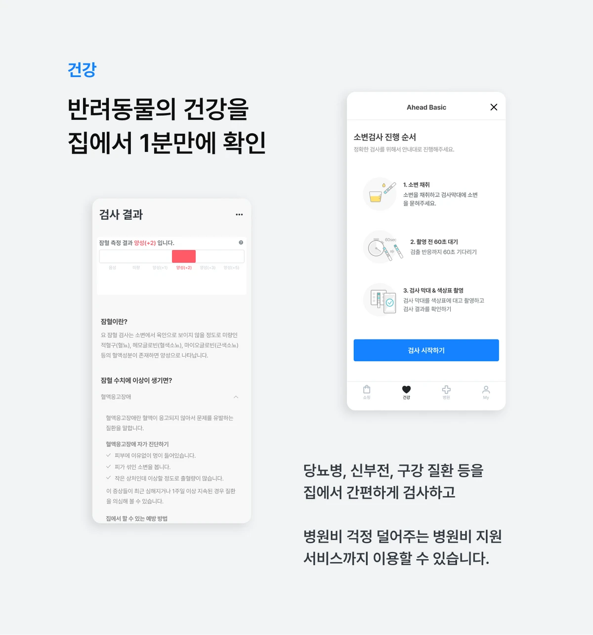 핏펫 스크린샷 3
