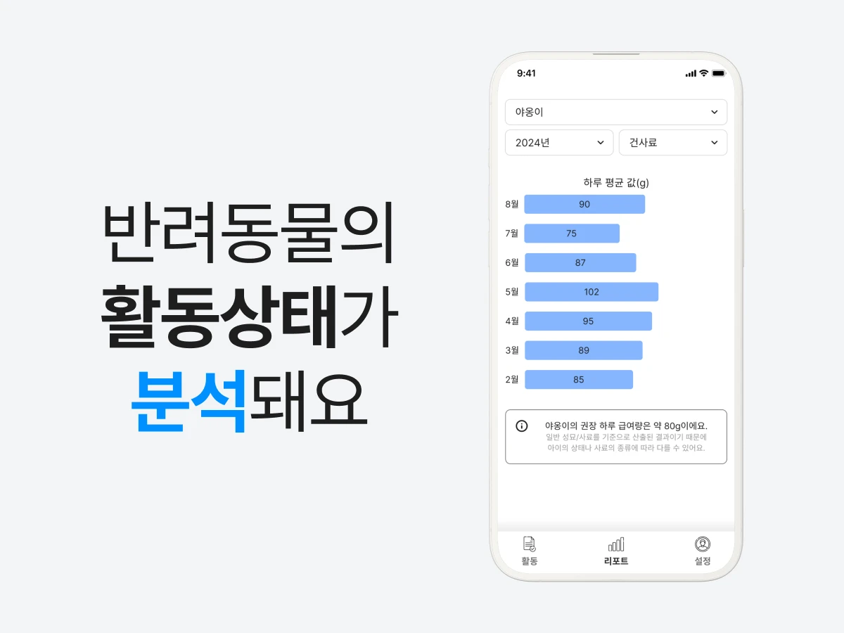 비스캣 스크린샷 3