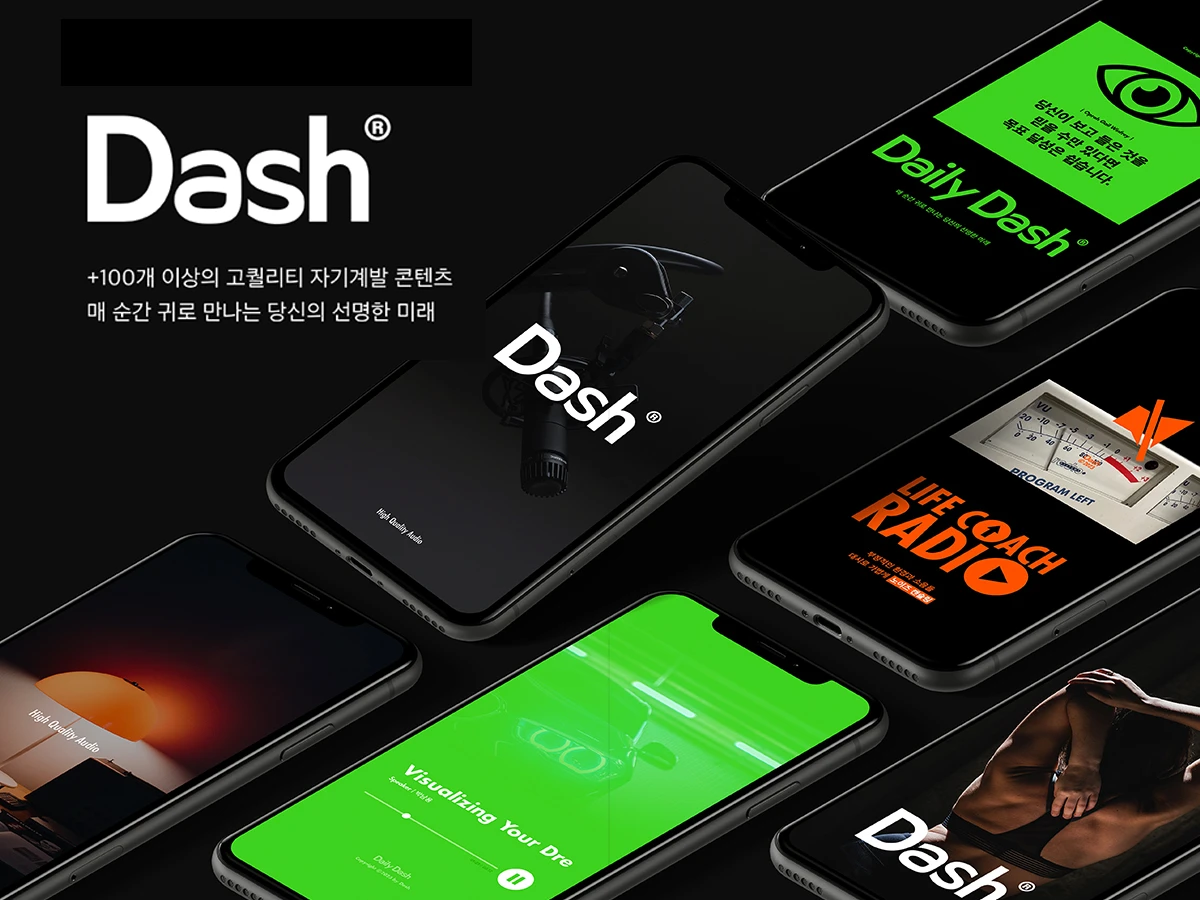 대시 스크린샷 1