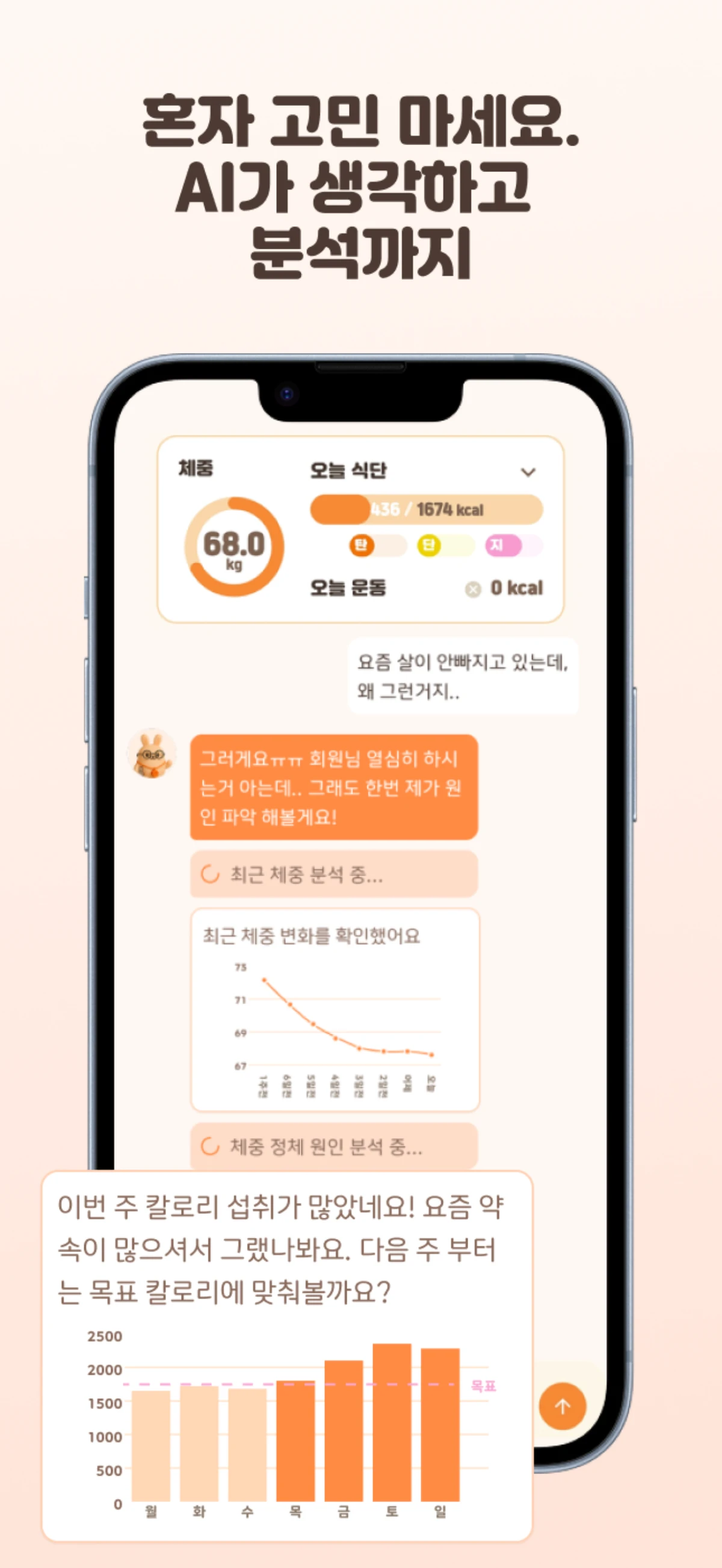 다톡이 다이어트 톡 AI 스크린샷 3